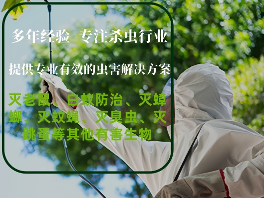 �����к�P΢��ӿƼ����޹�˾